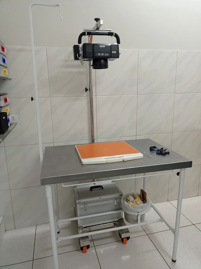 Recepção da clínica veterinária